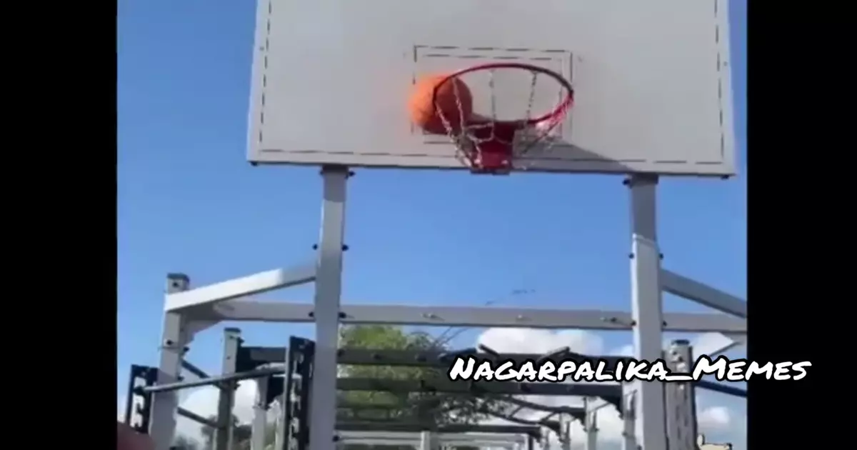 Funny Videos That Make Your Weekend Hilarious Meme Download Video