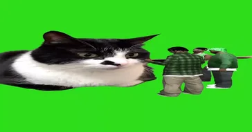Squad Cat Walk Green Screen Meme Download | Video & Audio Meme Video