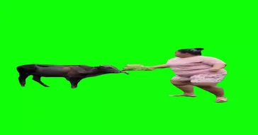 Gata Only Green Screen Meme Video