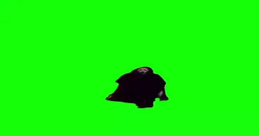 Spooky Skeleton Dance Green Screen Meme Download | Video & Audio Meme Video
