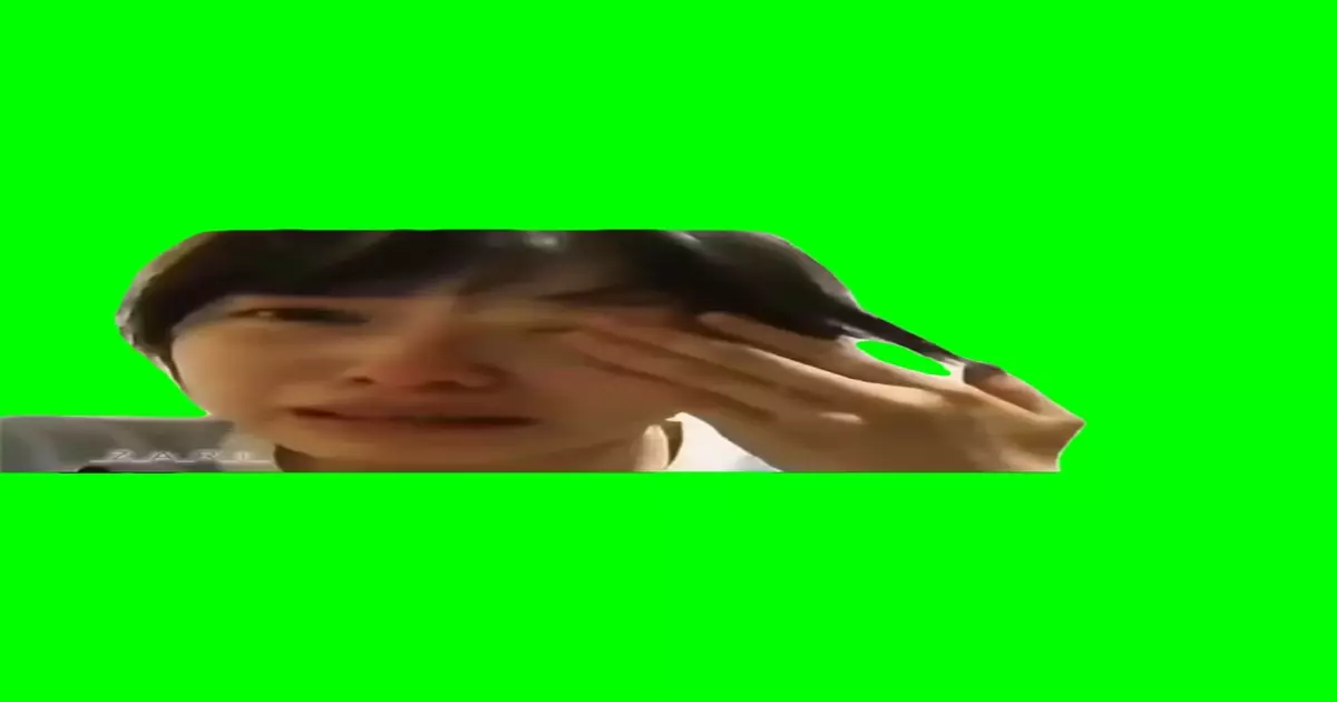 Girl Fake Crying Meme Download Video