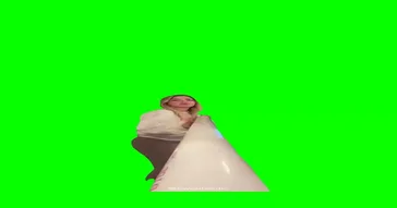 Girl With Big Mouth Green Screen Meme Download | Video & Audio Meme Video