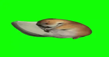 Happy To Go Sleep Meme Download | Video & Audio Meme Video