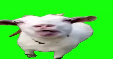 Put A Tongue In That Thang Green Screen Meme Download Video