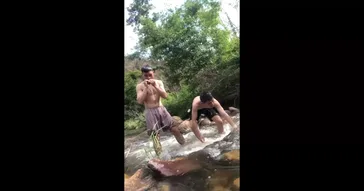 Good Morning Da Pineapple Meme Download | Video & Audio Meme Video