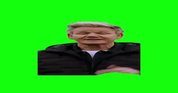 Gordon Ramsay I M Sorry Green Screen Meme Video