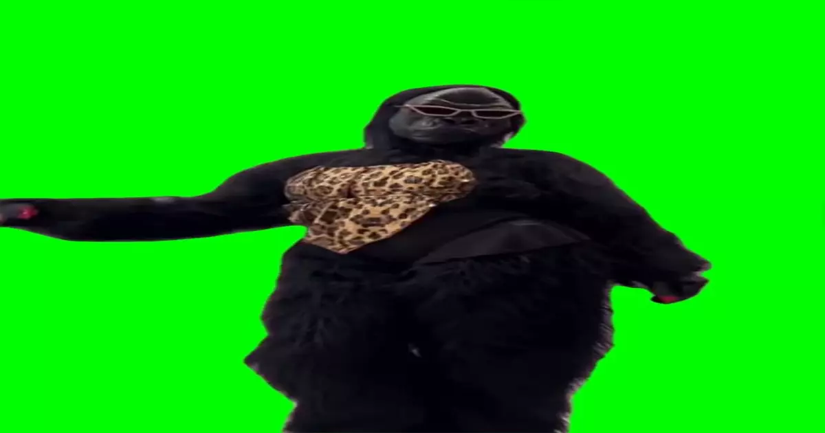 Gorilla Dancing Let S Groove Meme Download Video