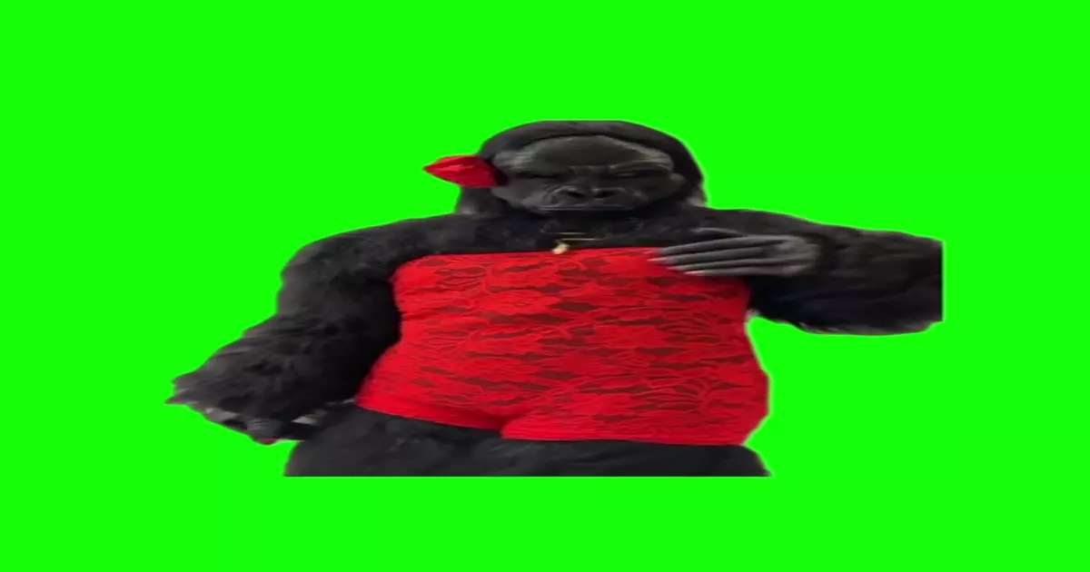 Gorilla In Sexy Outfit Dance Meme Download Video