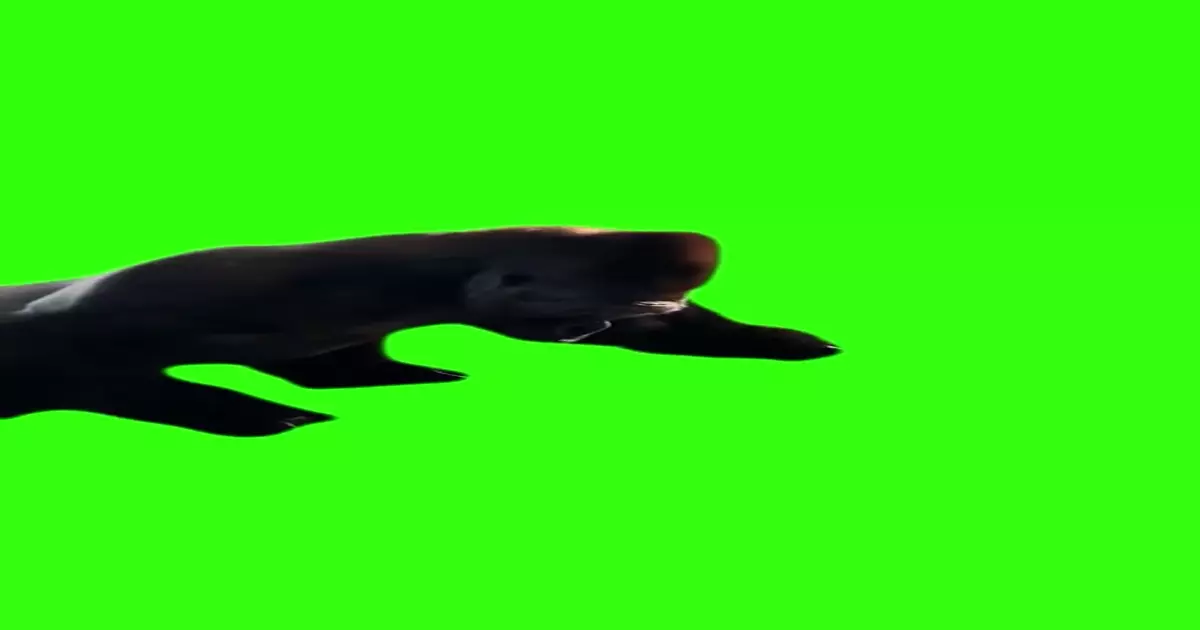 Gorilla Spinning Green Screen Meme Download Video