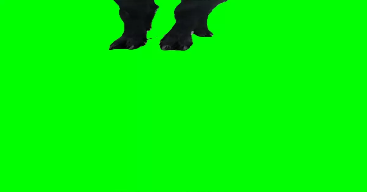 Gost With Big Glasses Meme Download Video