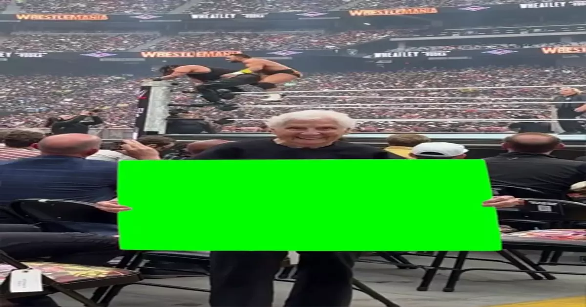 Grandma With A Sign At Wrestlemania Meme Download Video
