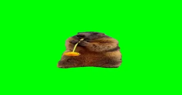 Groundhog Eating Meme Video