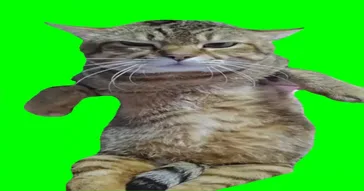 Grump Cat Mingle Green Screen Meme Video