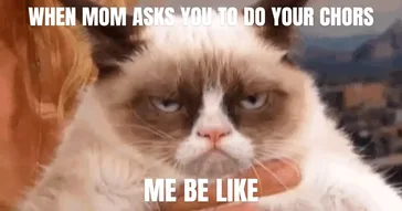 Grumpy Cat Meme Video
