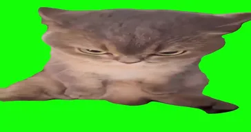 Grumpy Cat Sitting Green Screen Meme Video
