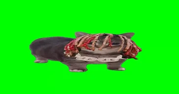 Gucci Gang Ooiiaa Cat Green Screen Meme Video