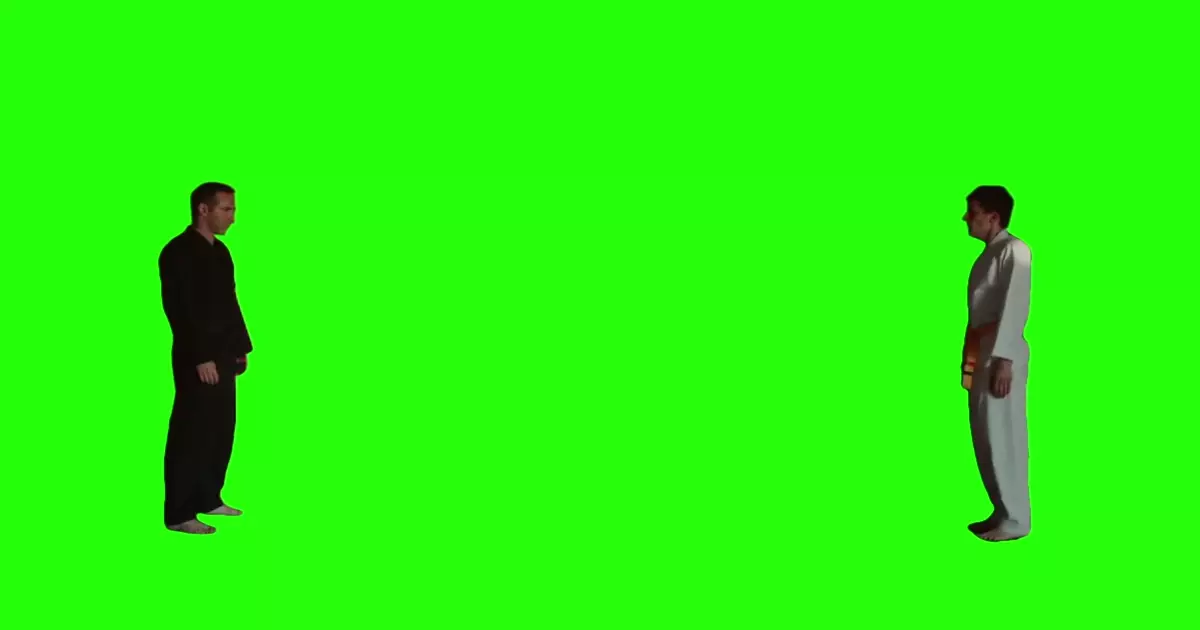 Gun To A Karate Fight Green Screen Meme Download Video
