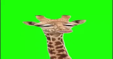 Good Morning Da Pineapple Meme Download | Video & Audio Meme Video