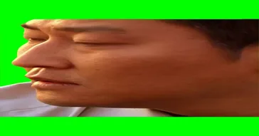 Guy Explains Green Screen Meme Download | Video & Audio Meme Video