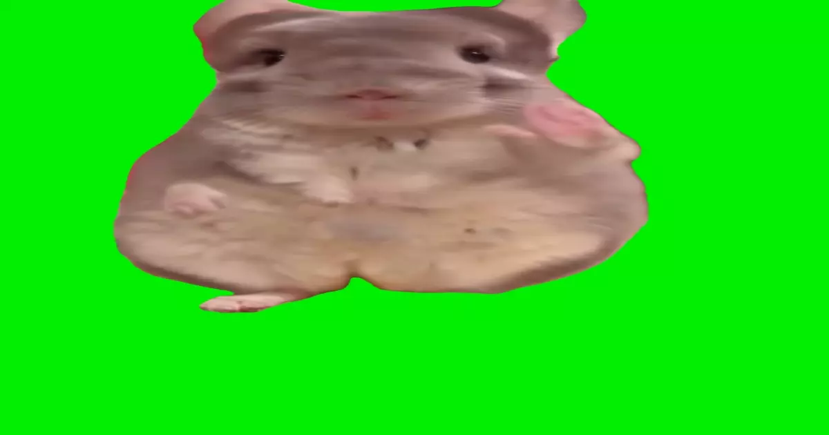 Hamster Dancing Green Screen Meme Download Video
