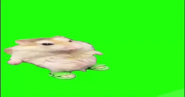 Hamster Dancing Green Screen Meme Download | Video & Audio Meme Video