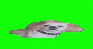 Ada Gommaloka Hangover Funny Meme Download | Video & Audio Meme Video