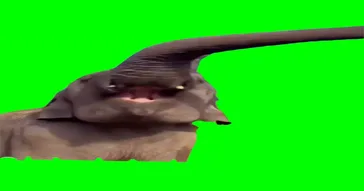 Elephant Green Screen Meme Download | Video & Audio Meme Video