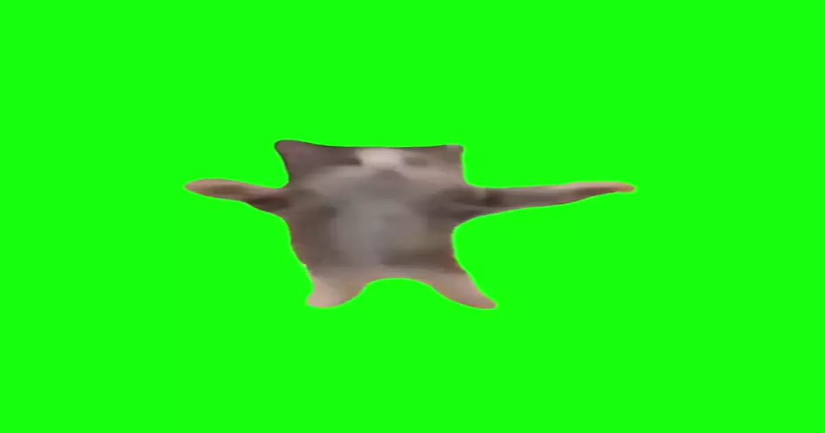 Happy Happy Happy Cat Green Screen Meme Download Video