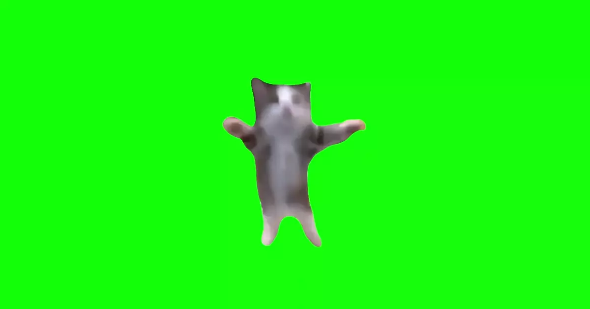 Happy Happy Happy Green Screen Meme Download Video