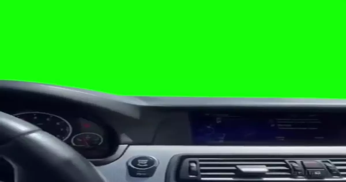 Hasbulla In The Car Green Screen Meme Download Video