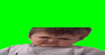 Bird Screams Assalam Aleykum Green Screen Meme Download Video