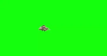 Oi Oi Oi Girl Song Green Screen Meme Download | Video & Audio Meme Video