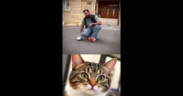 Viral Hilarious Checkout Cat Meme Download | Video & Audio Meme Video