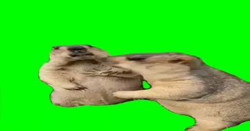 Dont Tell Me How To Cook The Sauce Meme Download | Video & Audio Meme Video