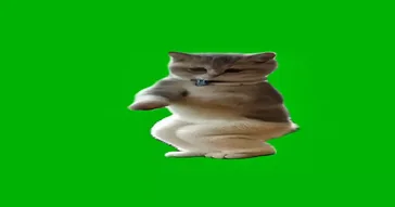 Hype Cat Dancing On Beat Green Screen Meme Video