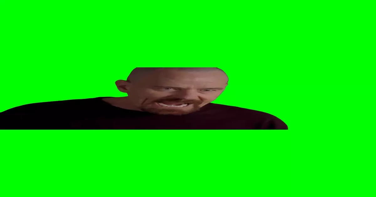 I Am The One Who Knocks Green Screen Meme Download Video