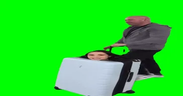 I Like My Suitcase Jellybean Dana White Green Screen Meme Video