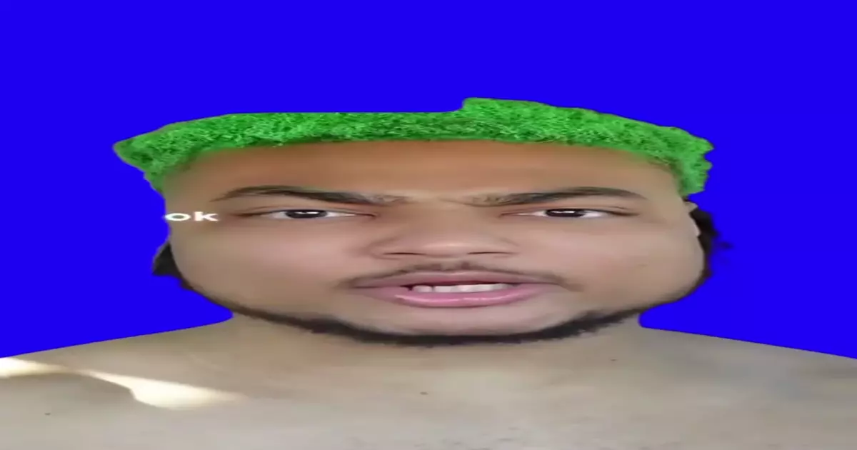 I Look Like A Minecraft Dirt Block Green Screen Meme Download Video