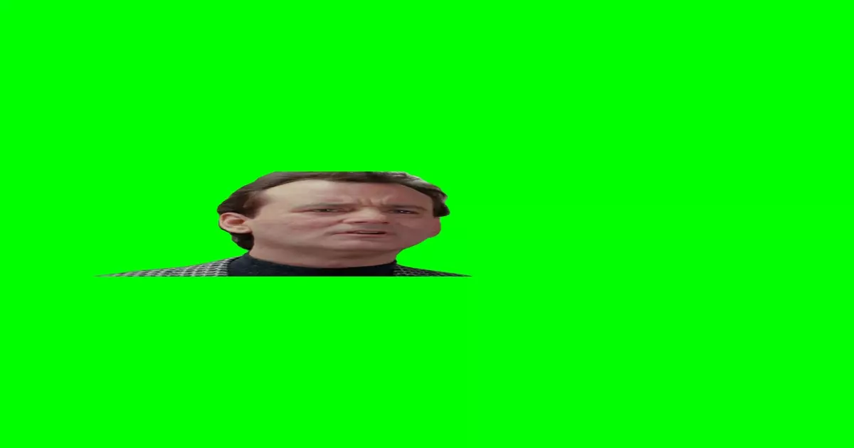 I M A Voter Green Screen Meme Download Video