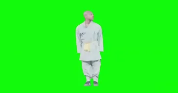 I Showspeed Kung Fu Green Screen Meme Video