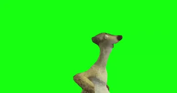 Ice Age Sid They Left Without Me Green Screen Meme Video