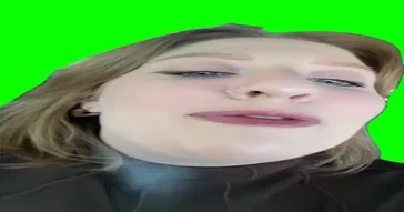 Me And Bro Talking Smack Green Screen Meme Download Video