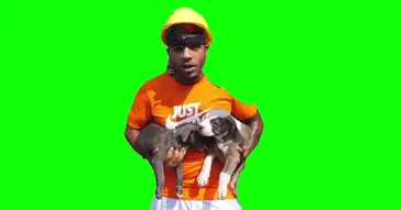 If You See These Dogs In Your Front Yard Green Screen Video