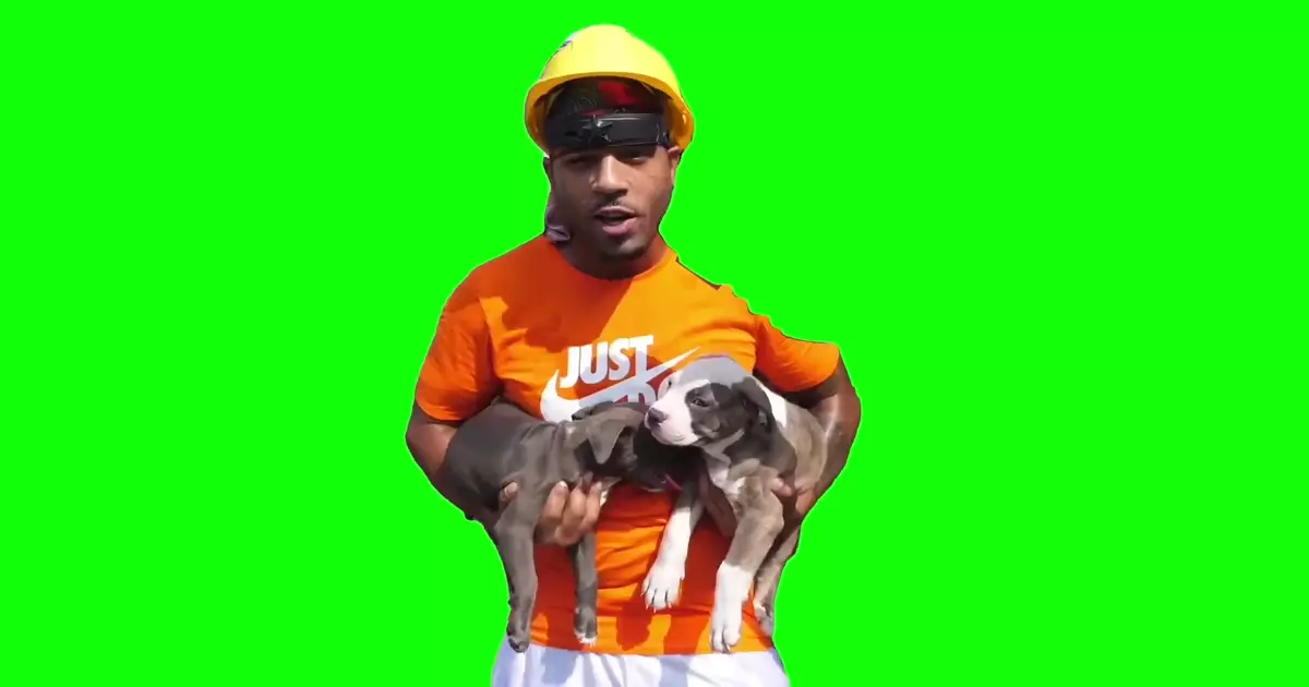 If You See These Dogs In Your Front Yard Green Screen Meme Download Video