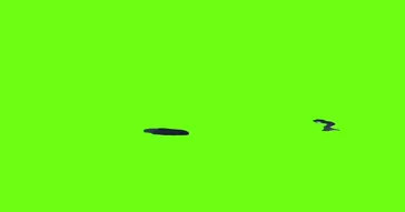 We Tired Of Playing With You Meme Download | Video & Audio Meme Video