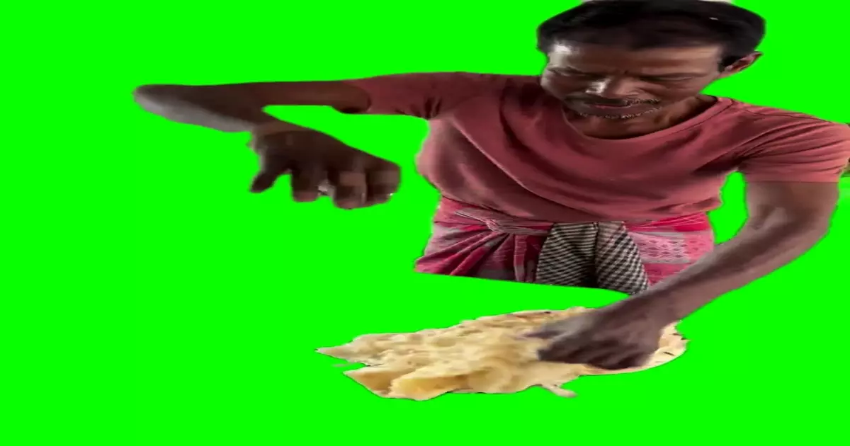 Indian Street Food Green Screen Meme Download Video