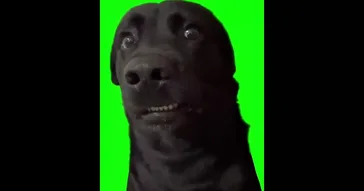 Inki Pinki Pinky Dog Meme Video