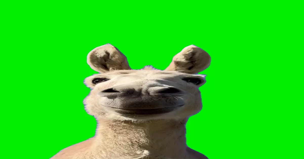 Iphone Notification Green Screen Meme Download Video