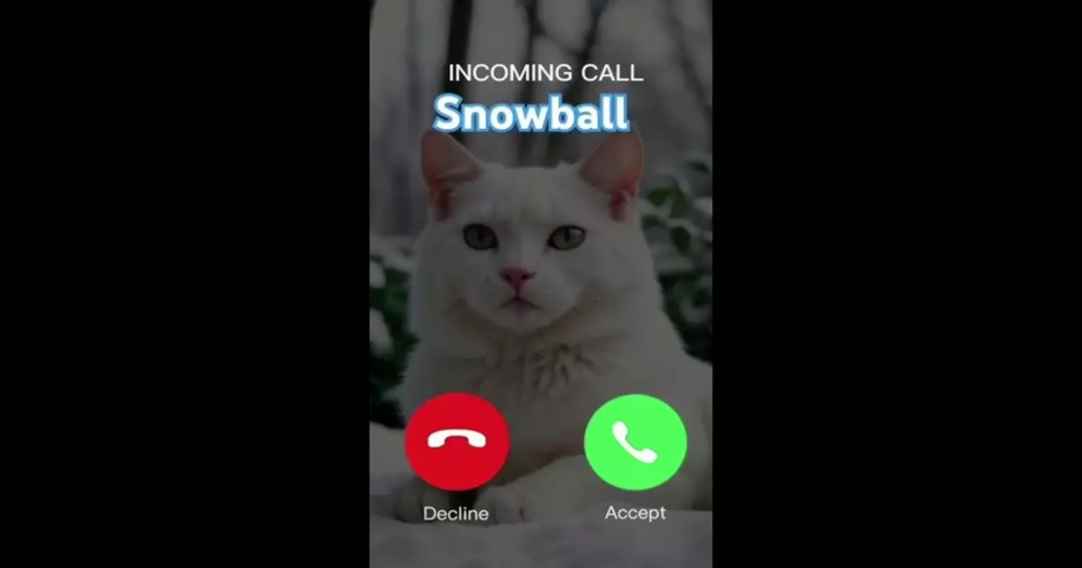 Iphone Ringtones Meme Download Video