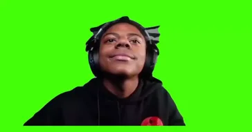 Twerking Bear Green Screen Meme Download | Video & Audio Meme Video